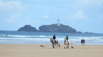 Godrevy Horses.jpg